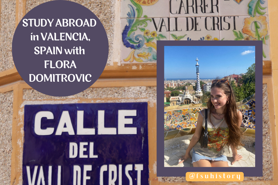 Study Abroad Valencia graphic